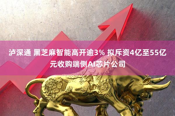 泸深通 黑芝麻智能高开逾3% 拟斥资4亿至55亿元收购端侧AI芯片公司